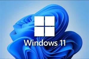 不想更新windows系统的有福了