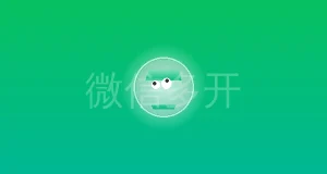 微信电脑端多开方法（无风险）